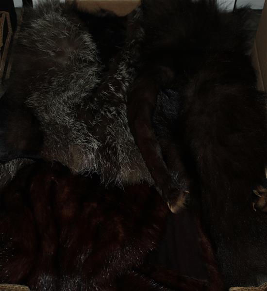Silver fox fur cape, stole & mink stole